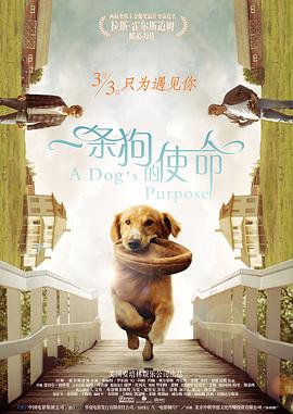 又一春