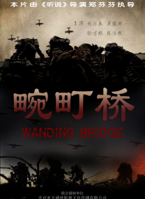 国内精品久久久久精品爽爽