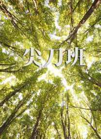 717午夜伦伦电影理论片