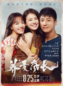 潦草小狗是什么品种