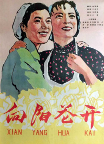 毛片导航