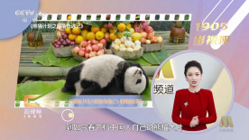 国产午夜在线观看视频播放